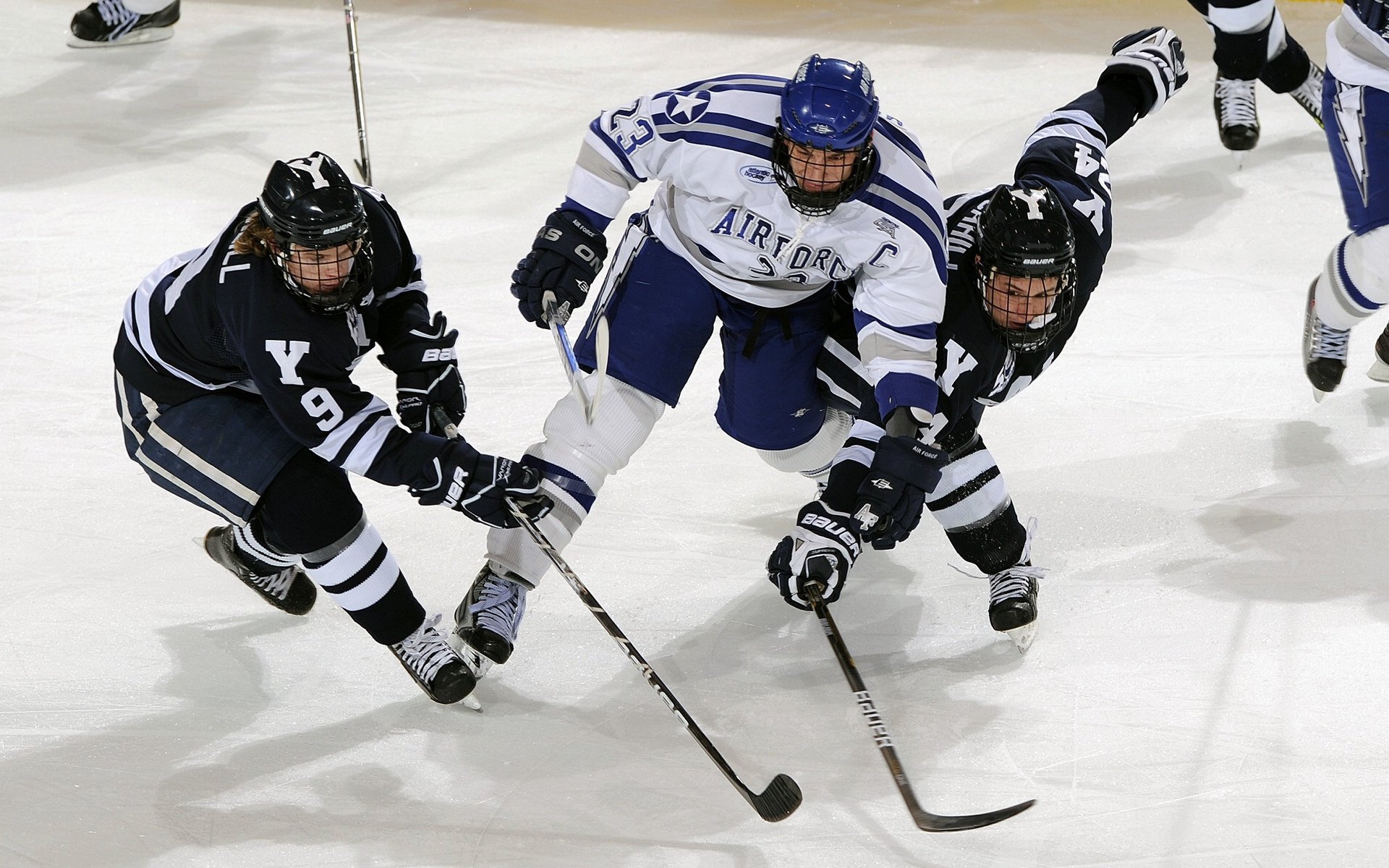 “定向越野：东部新区赛场，挑战体能与导航的极限”