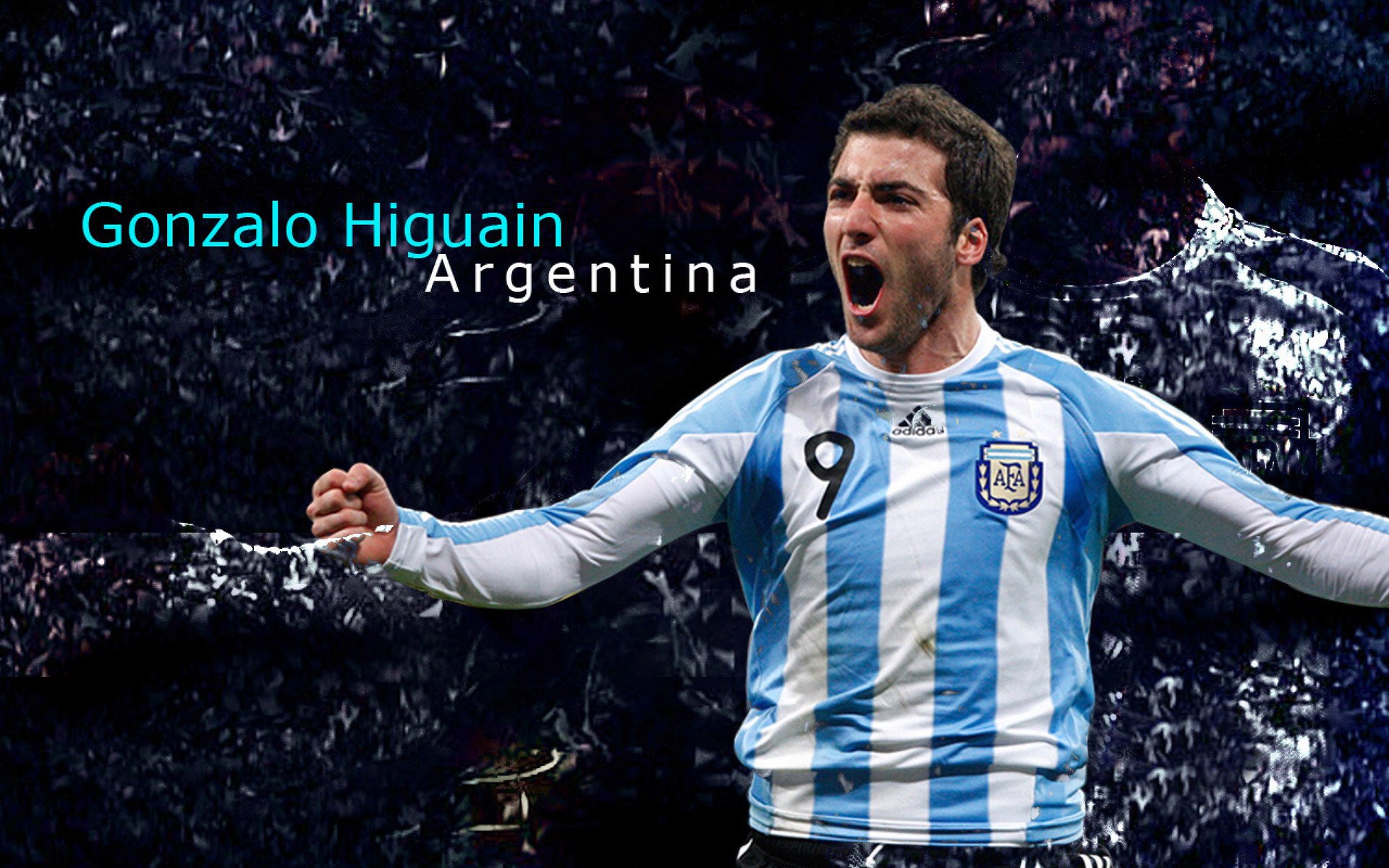 勇士队冲击联盟冠军,目标坚定,勇士队的发展联盟